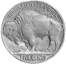 Buffalo_R