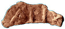 Delfinfoermige Bronzemuenze von Olbia