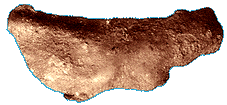 Delfinfoermige Bronzemuenze von Olbia