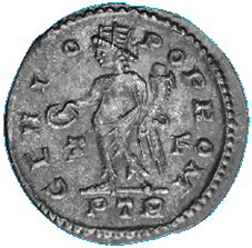 follis2