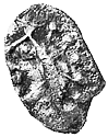 kleinsilb1