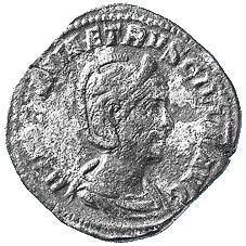 pudicit1