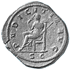 pudicit2