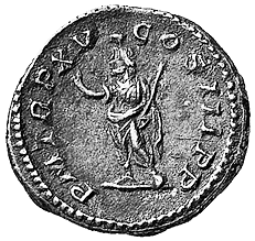 serapis2