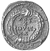 siliqua2