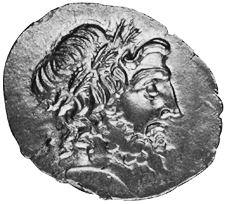 victoriatus1
