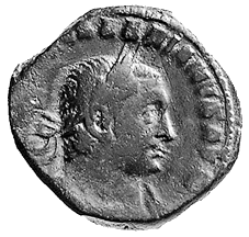 virtus1