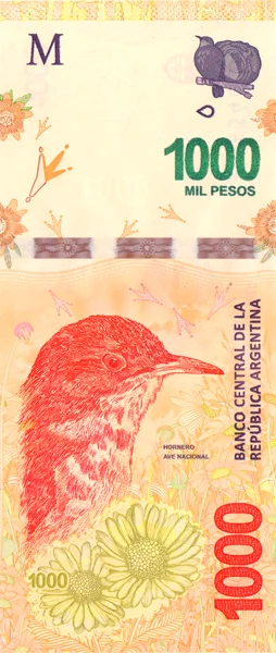 2er Banknoten-Set Argentinien 2016/2017