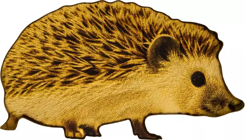 100 Francs Kongo Wildlife in Golden Shapes Igel 2025
