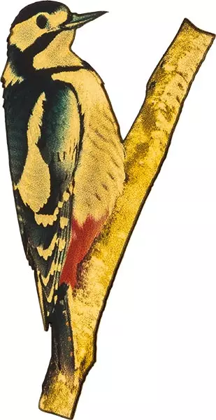 100 Francs Kongo Wildlife in Golden Shapes Buntspecht 2025
