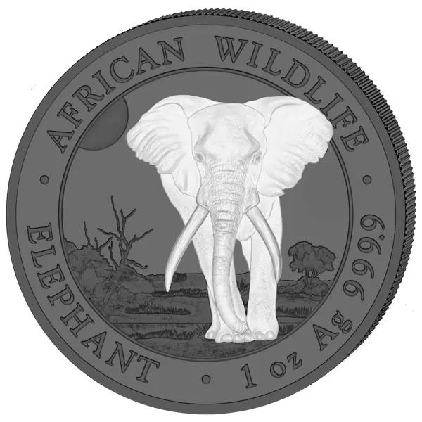 2 x 100 Shillings Somalia Elefant Black & White 2025