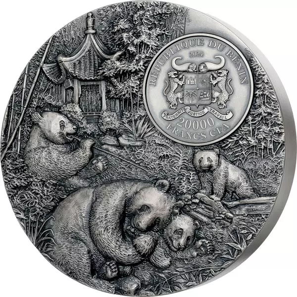20.000 Francs Benin Pandababy 2024