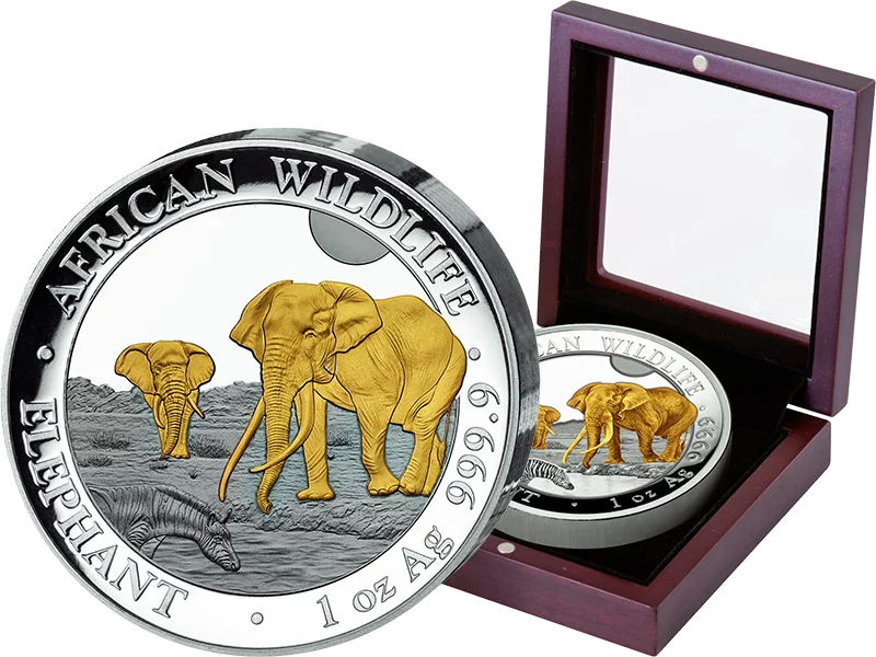 100 Shillings Somalia African Wildlife Elefant Hochrelief 2026