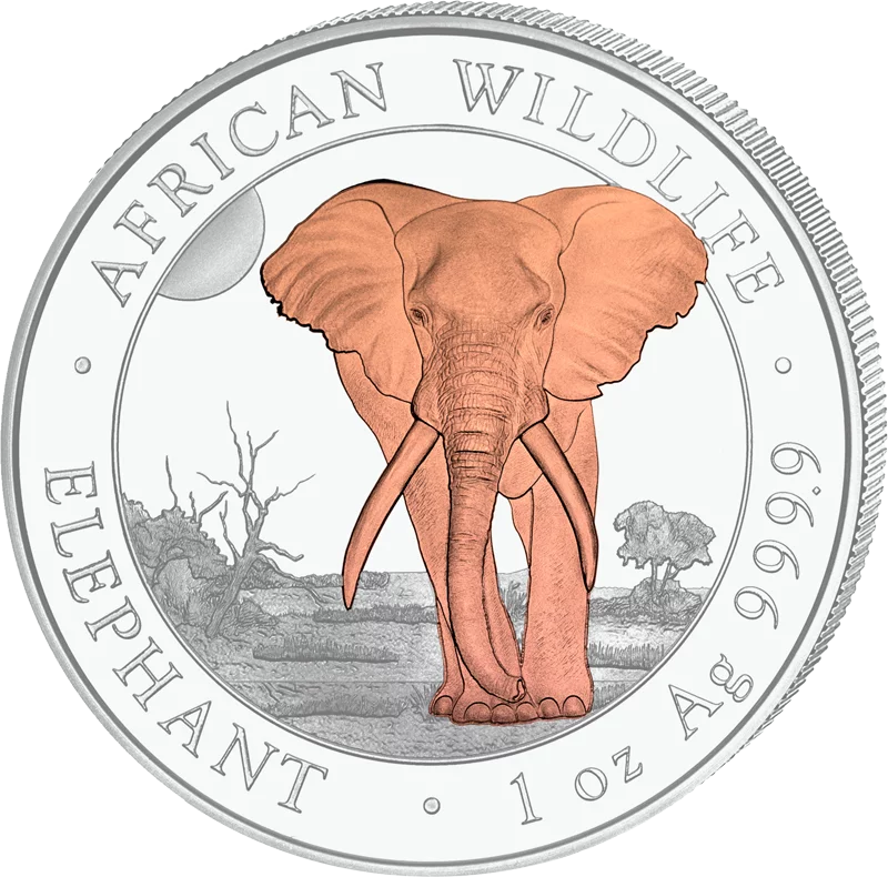 100 Shillings Somalia Elefant 2025 mit Keramikveredelung