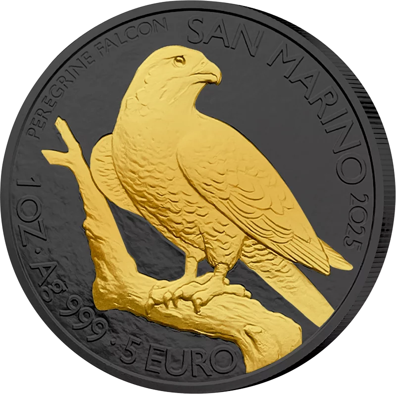 5 Euro San Marino Wanderfalke 2025 Golden Enigma Edition