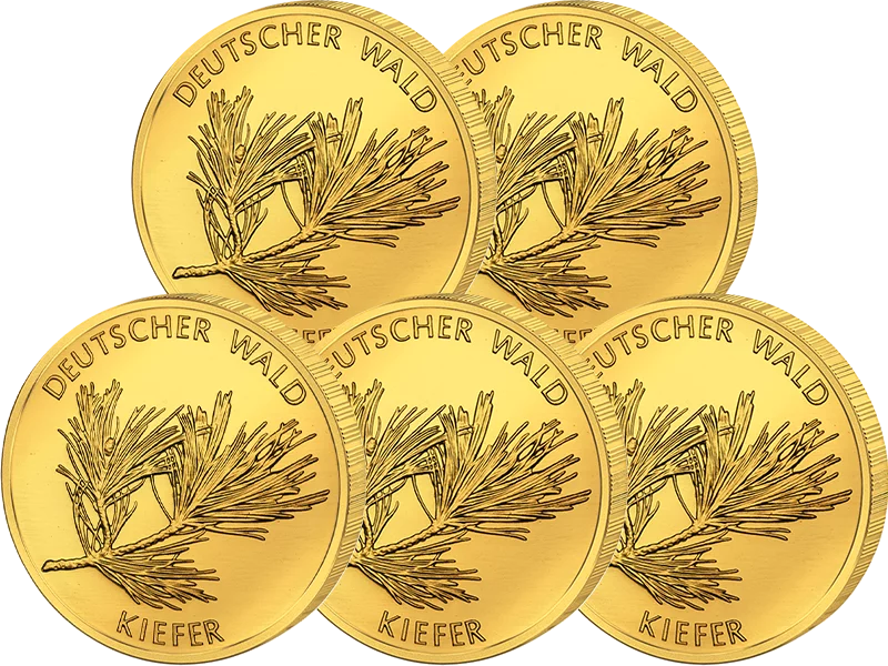 5x 20 Euro BRD Deutscher Wald Kiefer 2013 Vorzüglich (A-J)