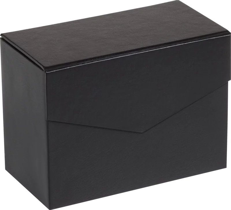 Archivbox Logik Mini C6 mit Klappdeckel und Magnetverschluss