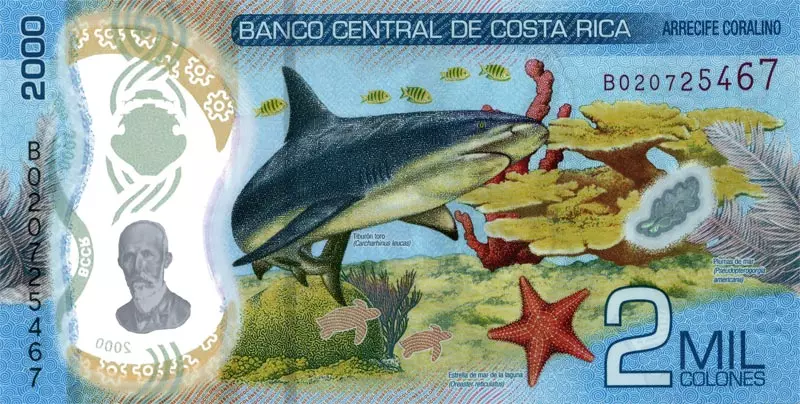 2.000 Colones Costa Rica Banknote Bullenhai 2018