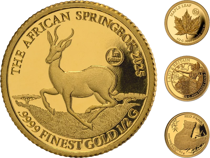 Gold-Kollektion: Classic Gold