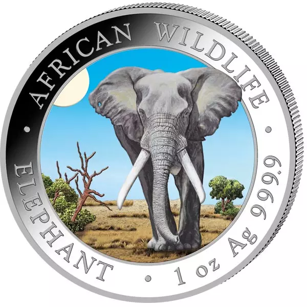 2 x 100 Shillings Somalia Elefant Day & Night 2025