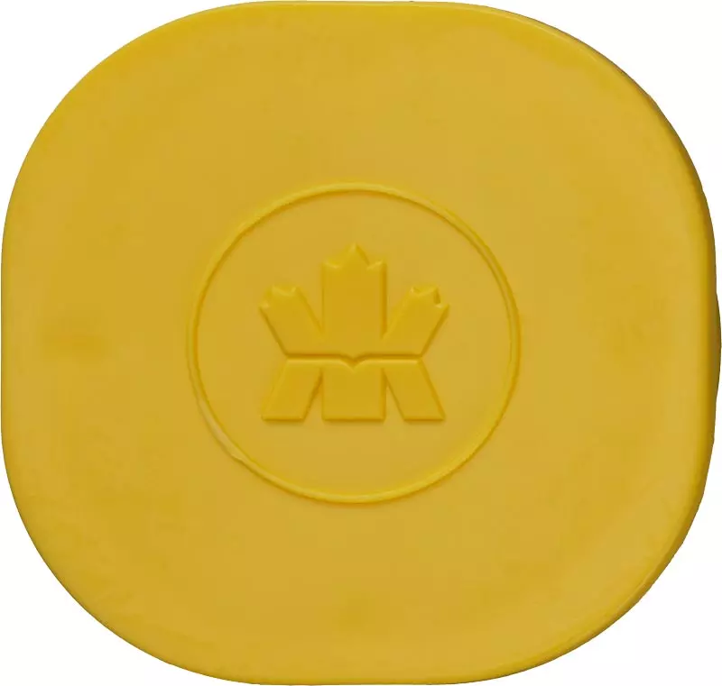 Münztube Royal Canadian Mint für 25 Maple Leaf Silberunzen