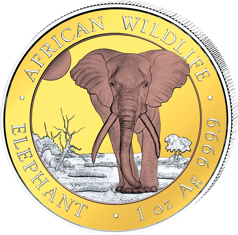 100 Shillings Somalia Elefant 2025 Triple Gold Edition