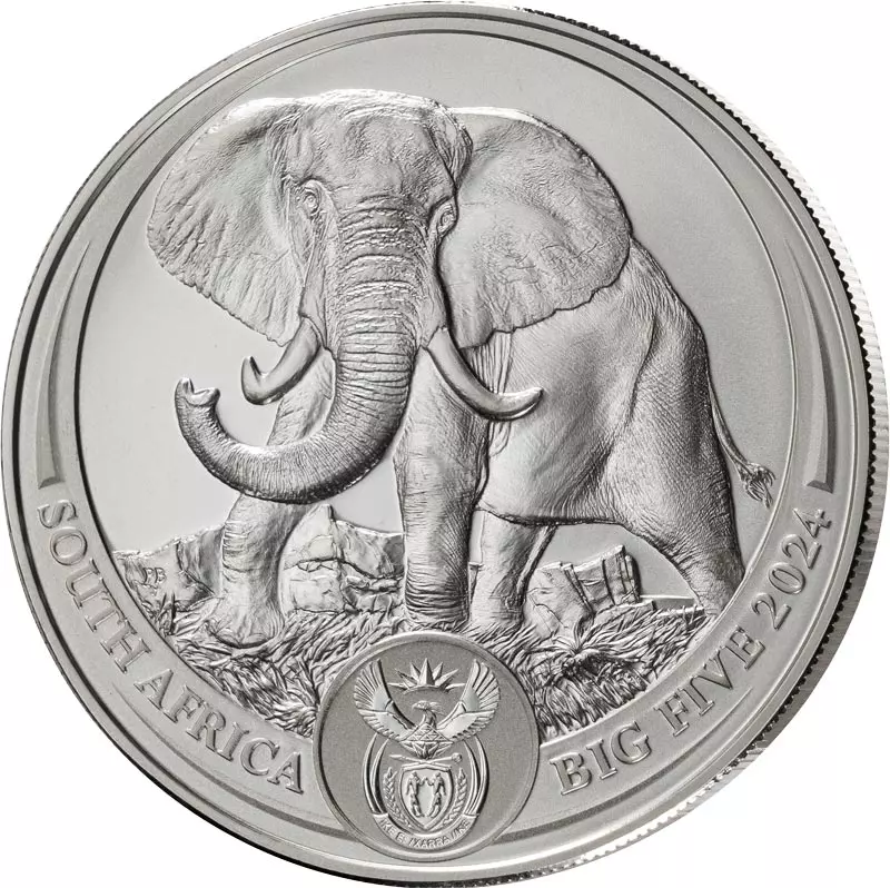 5 Rand Südafrika Big Five - Elefant 2024