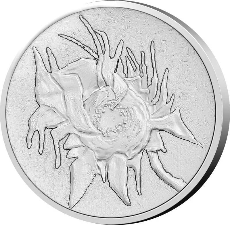 50 Cent Niederlande 50 Jahre Van Gogh Museum 2023 in der Coincard