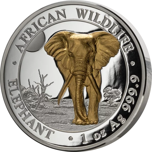 100 Shillings Somalia African Wildlife Elefant Hochrelief 2025
