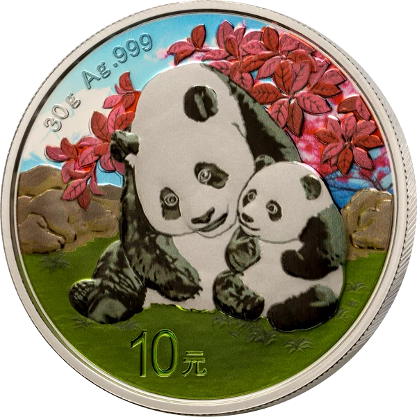 10 Yuan China Premium Panda Selection 2024 mit Farb-Applikation