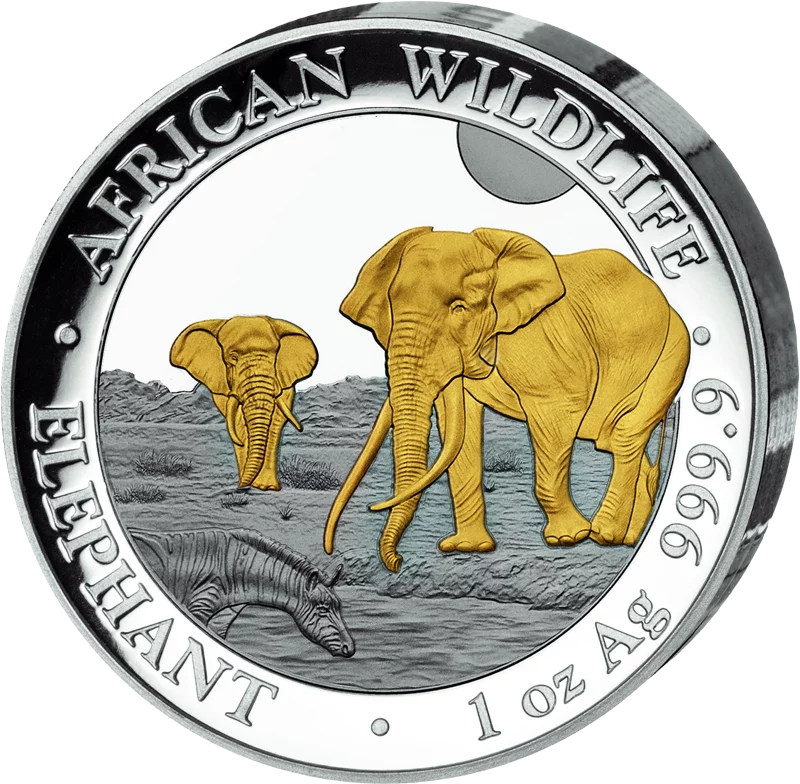 100 Shillings Somalia African Wildlife Elefant Hochrelief 2026