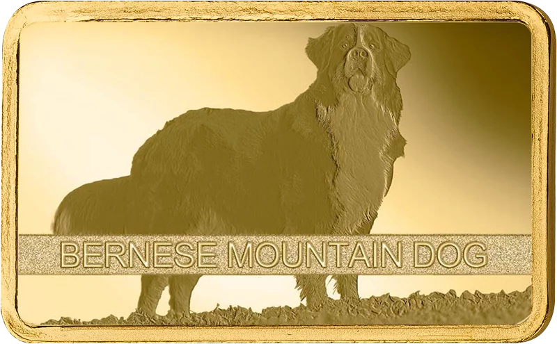 1 Gramm Goldbarren Schweiz Bernese Mountain Dog