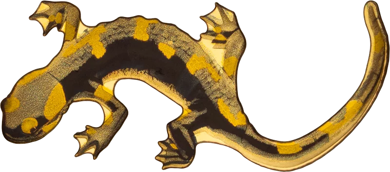 100 Francs Kongo Wildlife in Golden Shapes Feuersalamander 2025