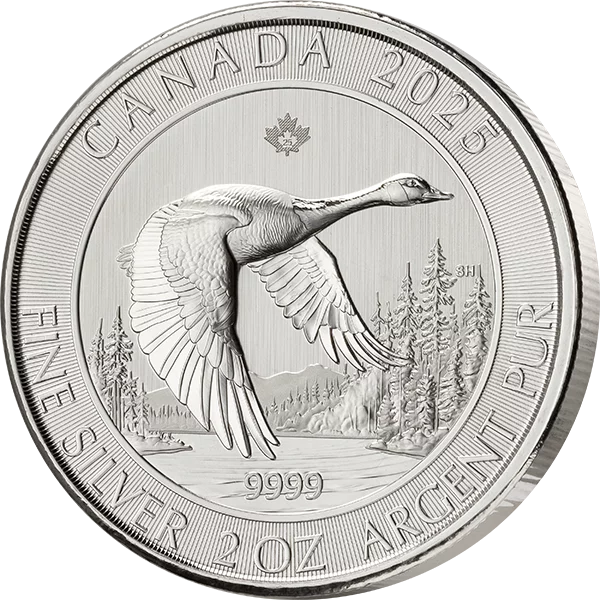 2 Unzen Silber Kanada Goose 2025