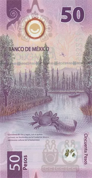 50 Pesos Mexiko Banknote Das Erbe der Azteken und Mexikos Wassermonster 2021