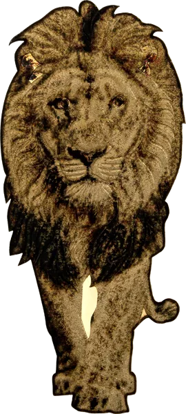 Kollektion: Wildlife in Golden Shapes - Soul of Afrika