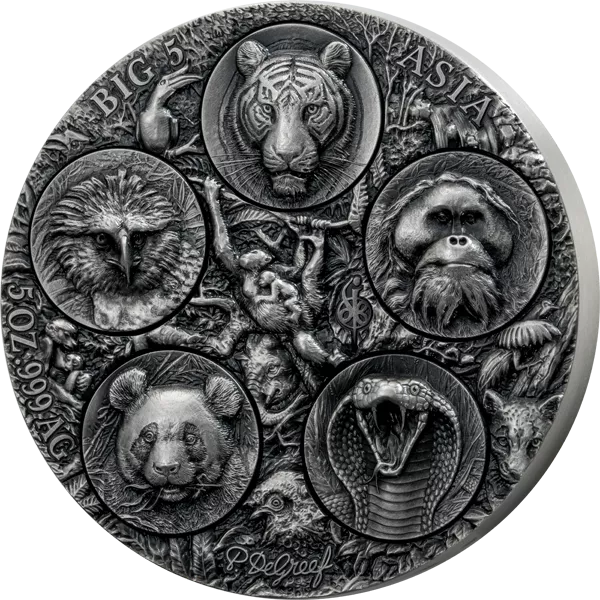 5.000 Francs Elfenbeinküste Big Five Asia - Completer Coin 2026