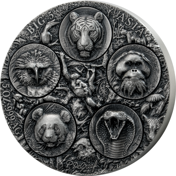 5.000 Francs Elfenbeinküste Big Five Asia - Completer Coin 2026