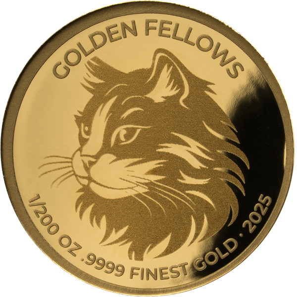 Gold-Kollektion: Golden Fellows