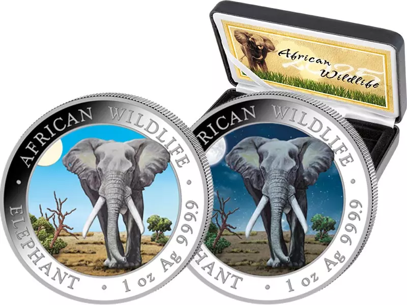 2 x 100 Shillings Somalia Elefant Day & Night 2025