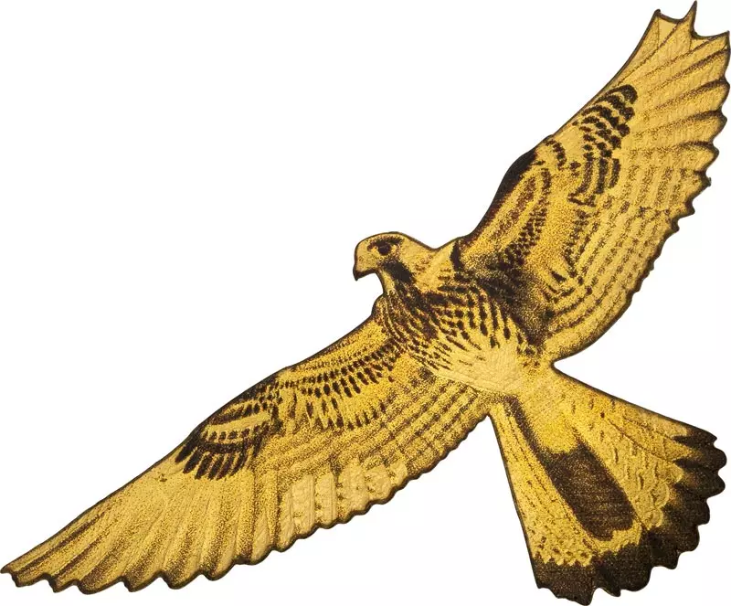 100 Francs Kongo Wildlife in Golden Shapes Falke 2025