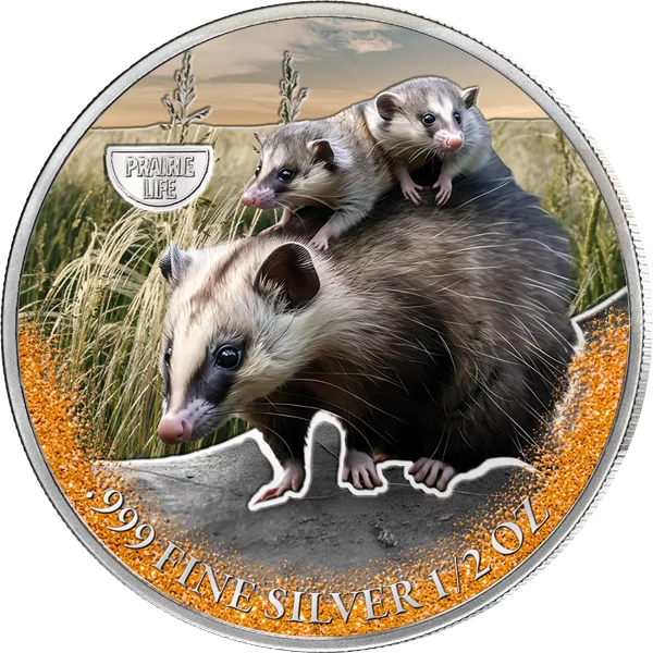 500 Fancs Kamerun Mysterious Rhodium Prairie Life - Opossum 2025