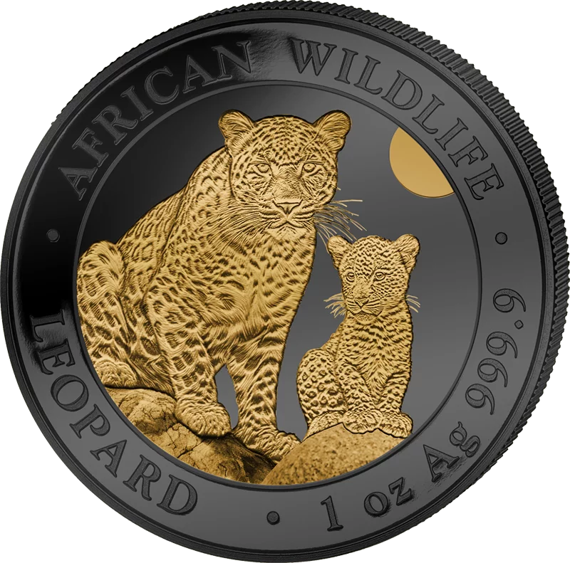 100 Shillings Somalia Leopard 2024 Golden Enigma Edition