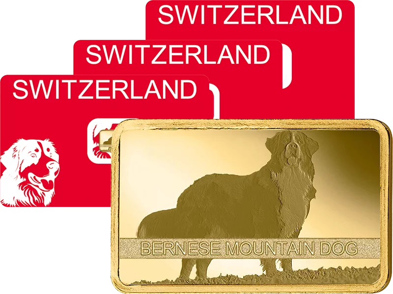 3 x 1 Gramm Goldbarren Bernese Mountain Dog