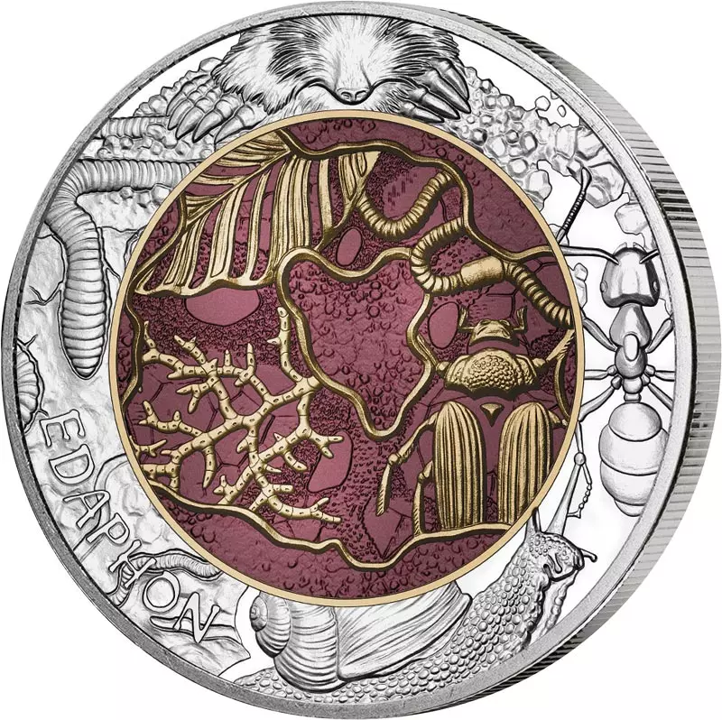 25 Euro Österreich Edaphon - Lebendiger Boden 2024