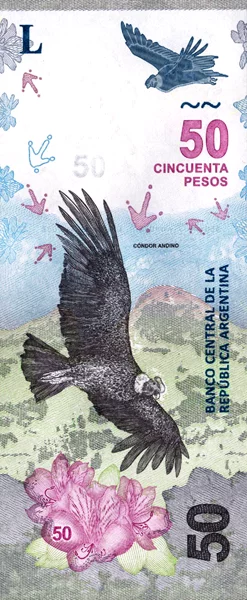 Banknote Argentinien 50 Pesos 2018
