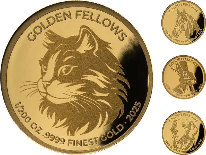 Gold-Kollektion: Golden Fellows