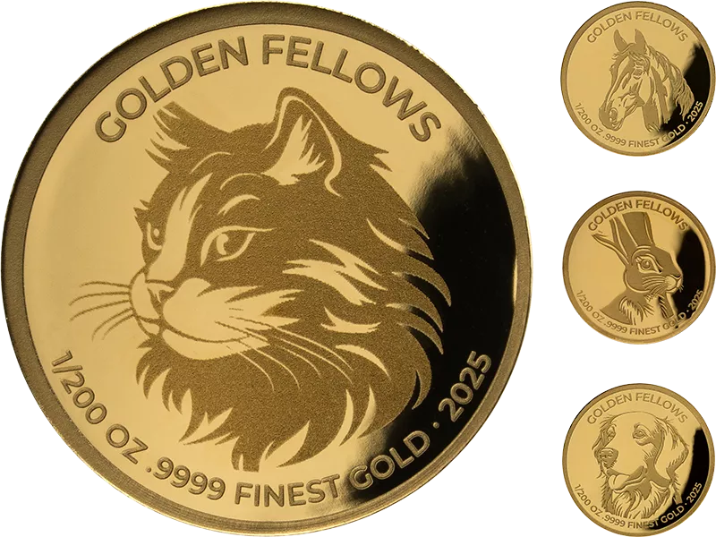 Gold-Kollektion: Golden Fellows
