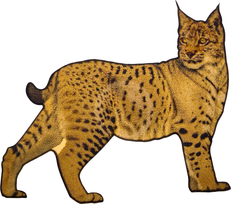100 Francs Kongo Wildlife in Golden Shapes Luchs 2025 100 Francs Kongo Wildlife in Golden Shapes Luchs 2025