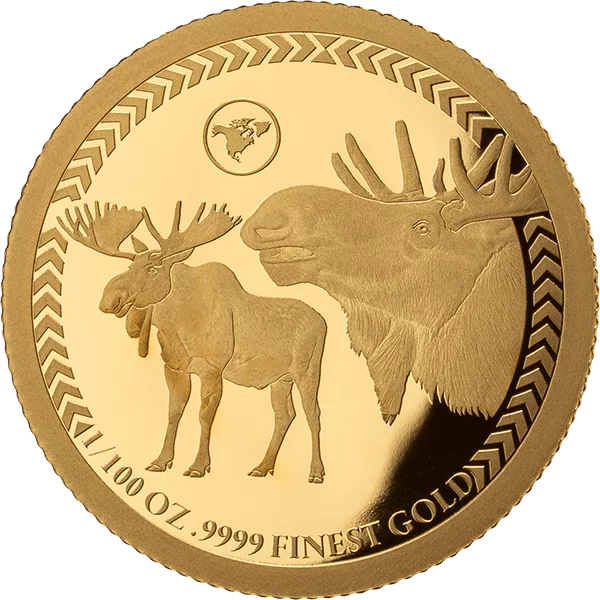 35 x 10 Dollars Salomonen Global Big Five - The Continental Edition 2025 35 x 10 Dollars Salomonen Global Big Five - The Continental Edition 2025